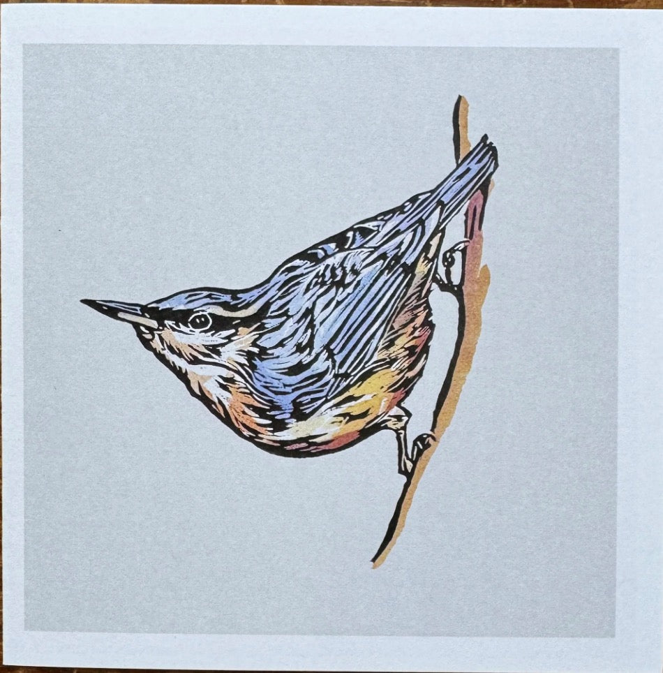 Sarah Cemmick - Lino Cut Art Card - Nuthatch