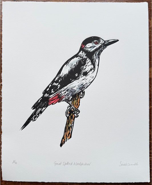 Sarah Cemmick - Original Lino Cut - Great Spotted Woodpecker